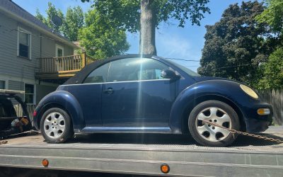 From Bugs to Box Trucks, A Week in the Life of a Scrapper
